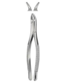 Tooth Forceps for Children  